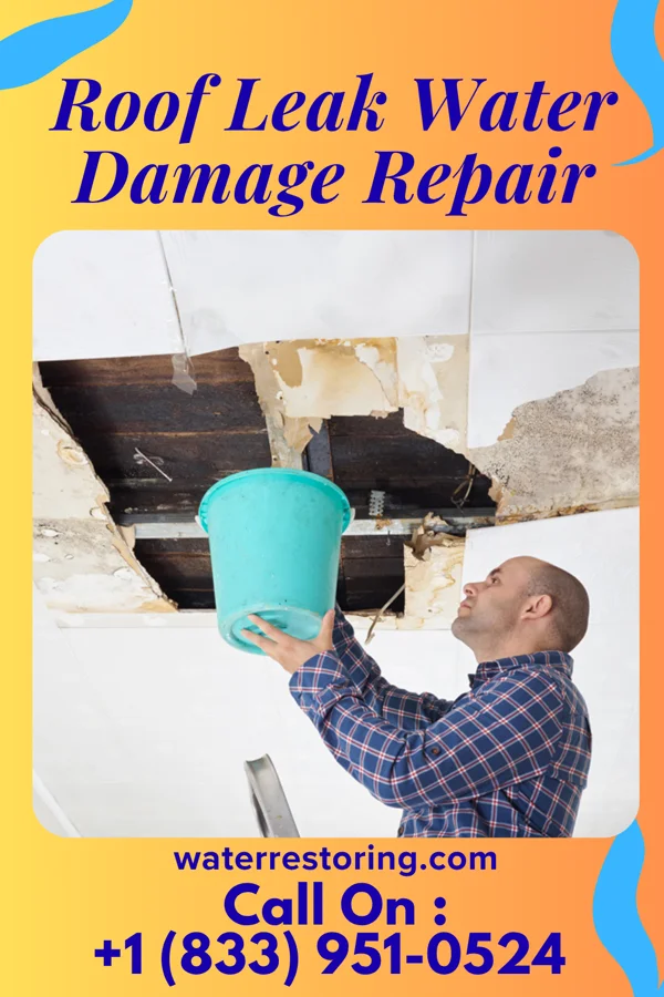 Roof Leak Water Damage Repair in Tacoma, WA